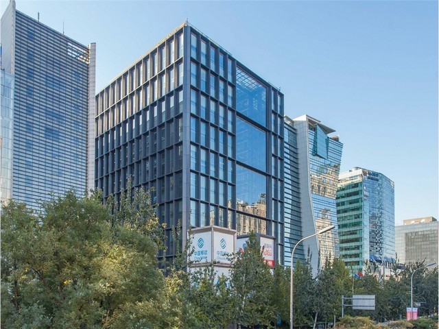 北京苗圃造型树价格表